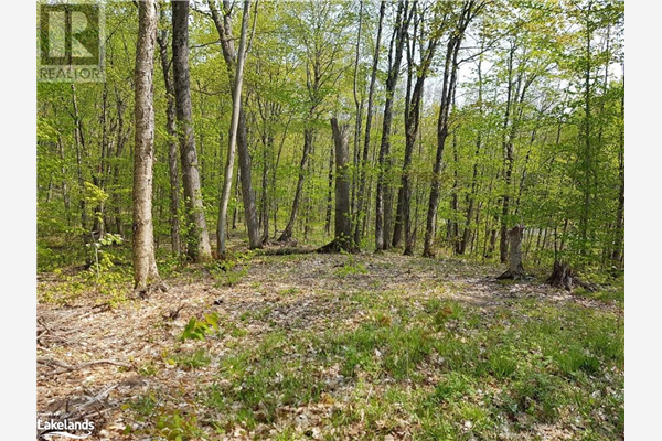 LOT 4A WHITES Road, Port Carling