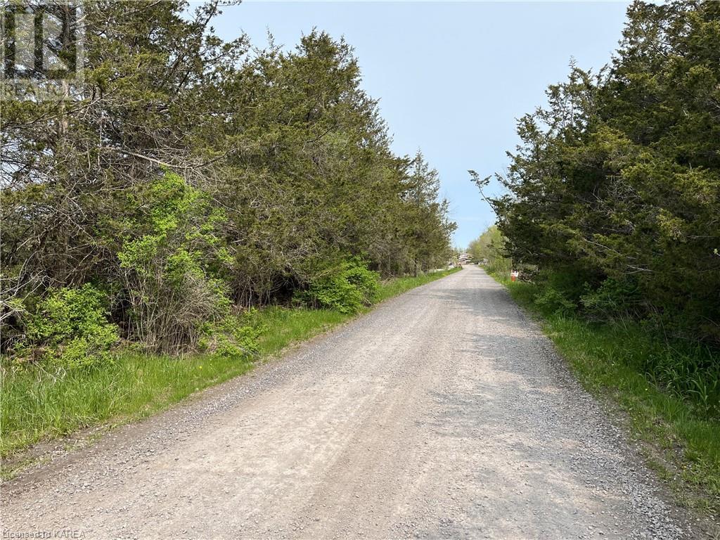 Listing 40389034 - Large Photo # 8