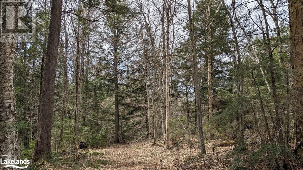 Listing 40389067 - Large Photo # 1