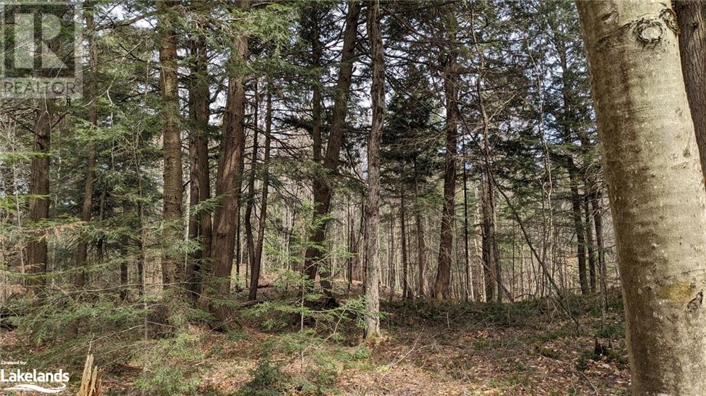 Listing 40389067 - Large Photo # 12