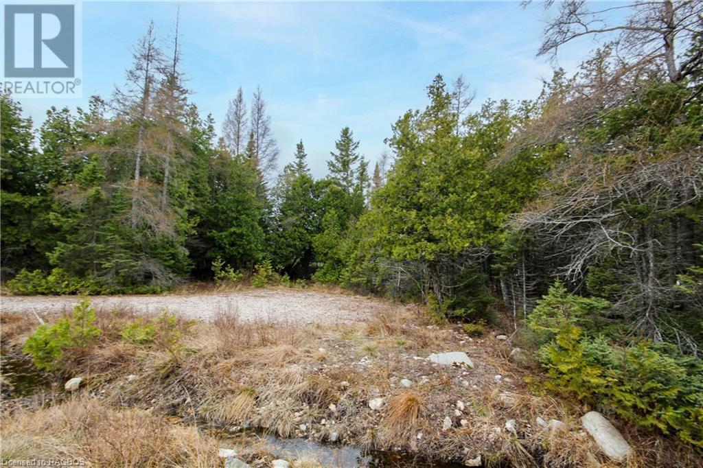 Listing 40389260 - Large Photo # 14