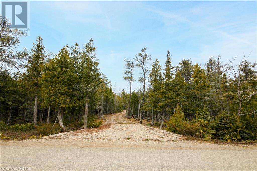 Listing 40389260 - Large Photo # 10