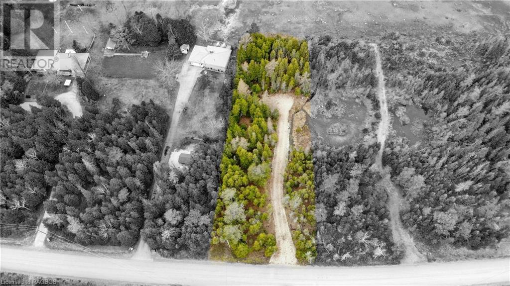 Listing 40389260 - Large Photo # 3