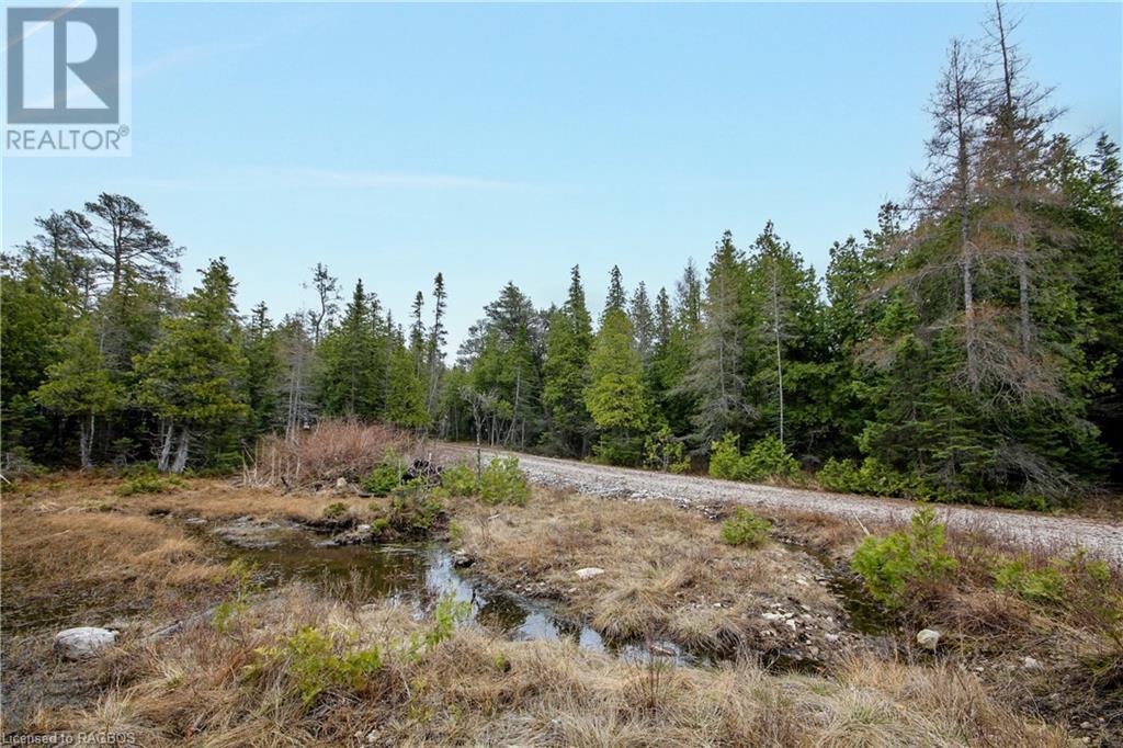 Listing 40389260 - Large Photo # 15