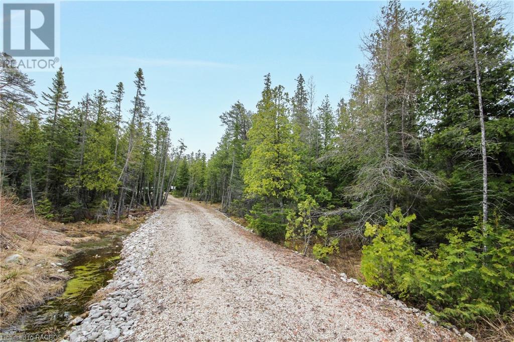 Listing 40389260 - Large Photo # 12