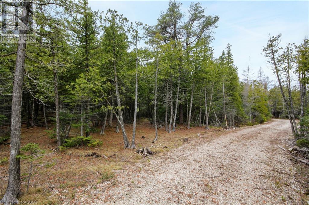 Listing 40389260 - Large Photo # 17