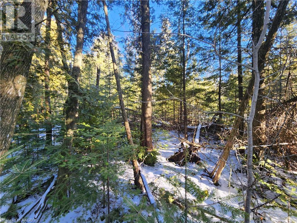 Listing 40389266 - Large Photo # 8