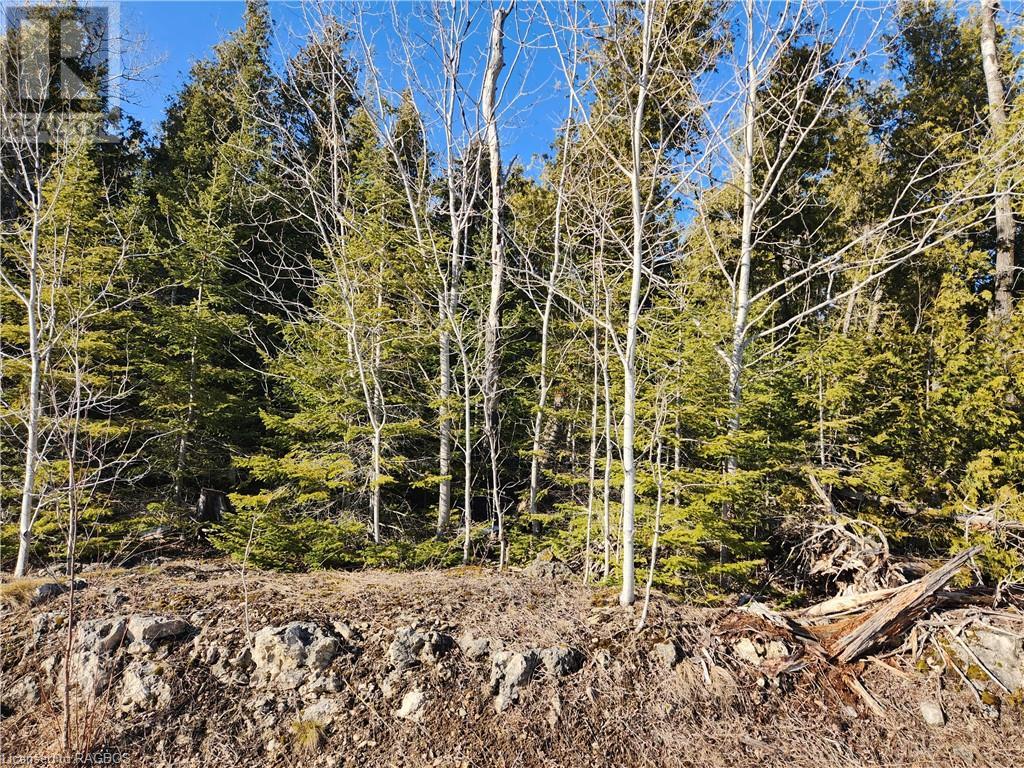Listing 40389266 - Large Photo # 1