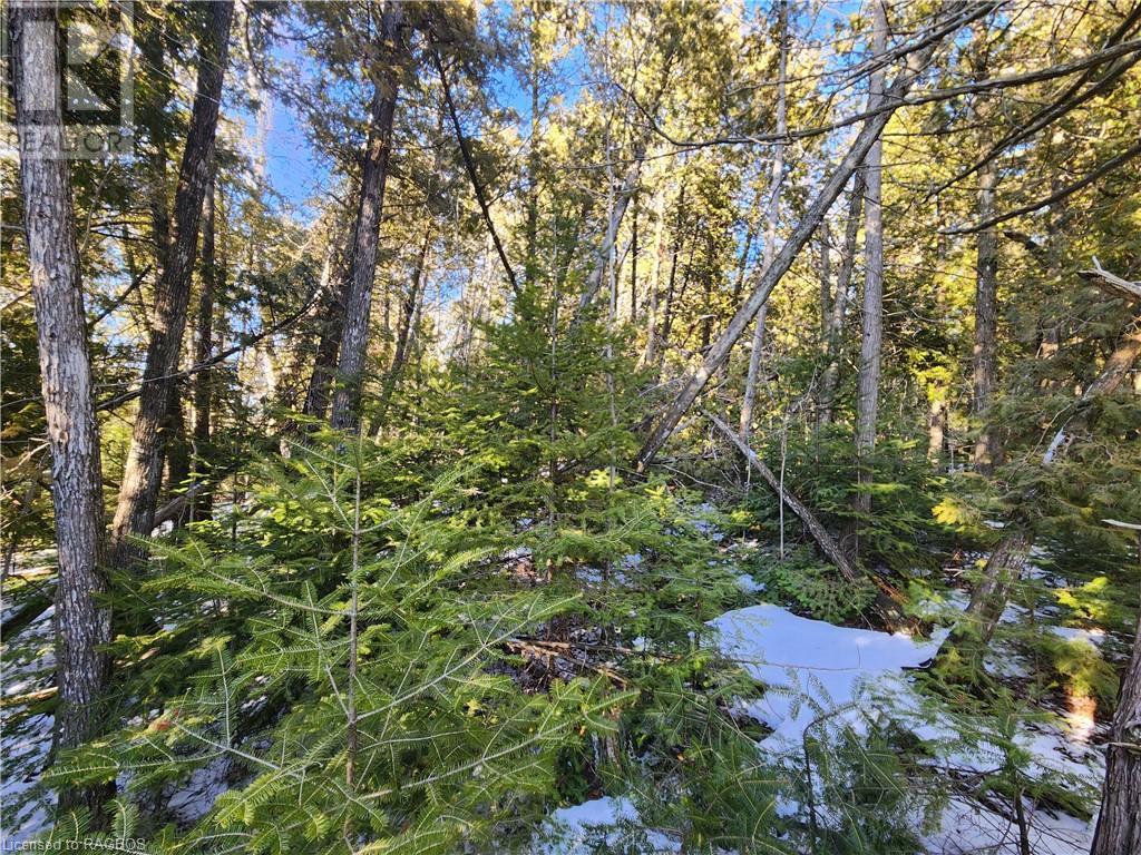 Listing 40389266 - Large Photo # 5