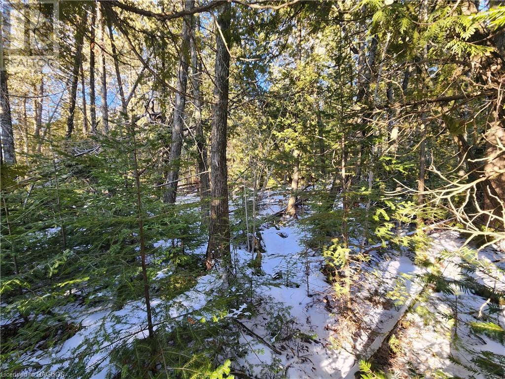 Listing 40389266 - Large Photo # 6