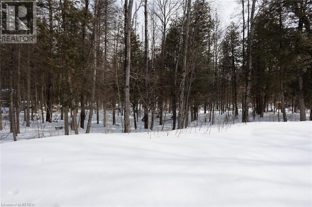 Listing 40389332 - Large Photo # 38