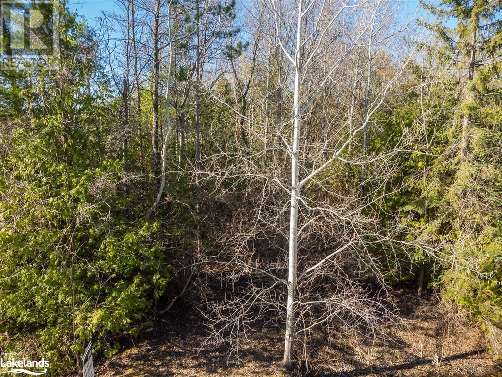 Listing 40389543 - Large Photo # 18