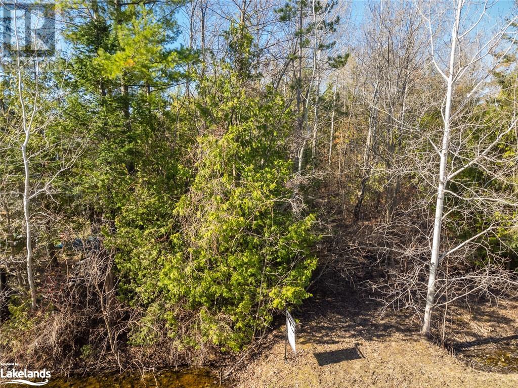 Listing 40389543 - Large Photo # 17