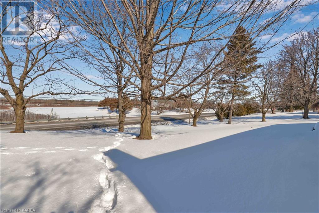 Listing 40389570 - Large Photo # 49
