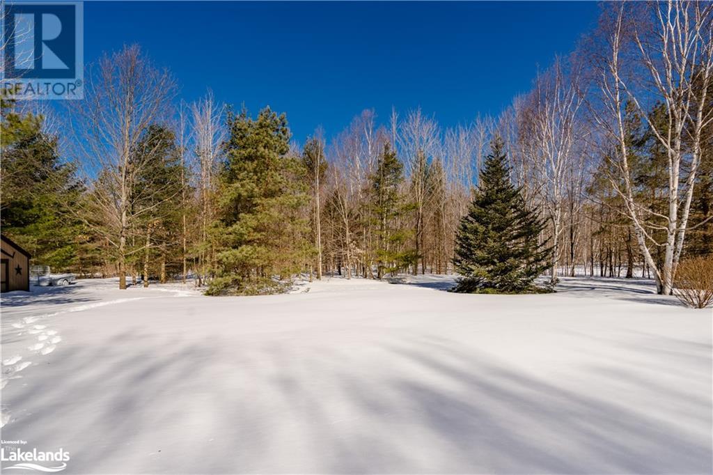 Listing 40389667 - Large Photo # 37