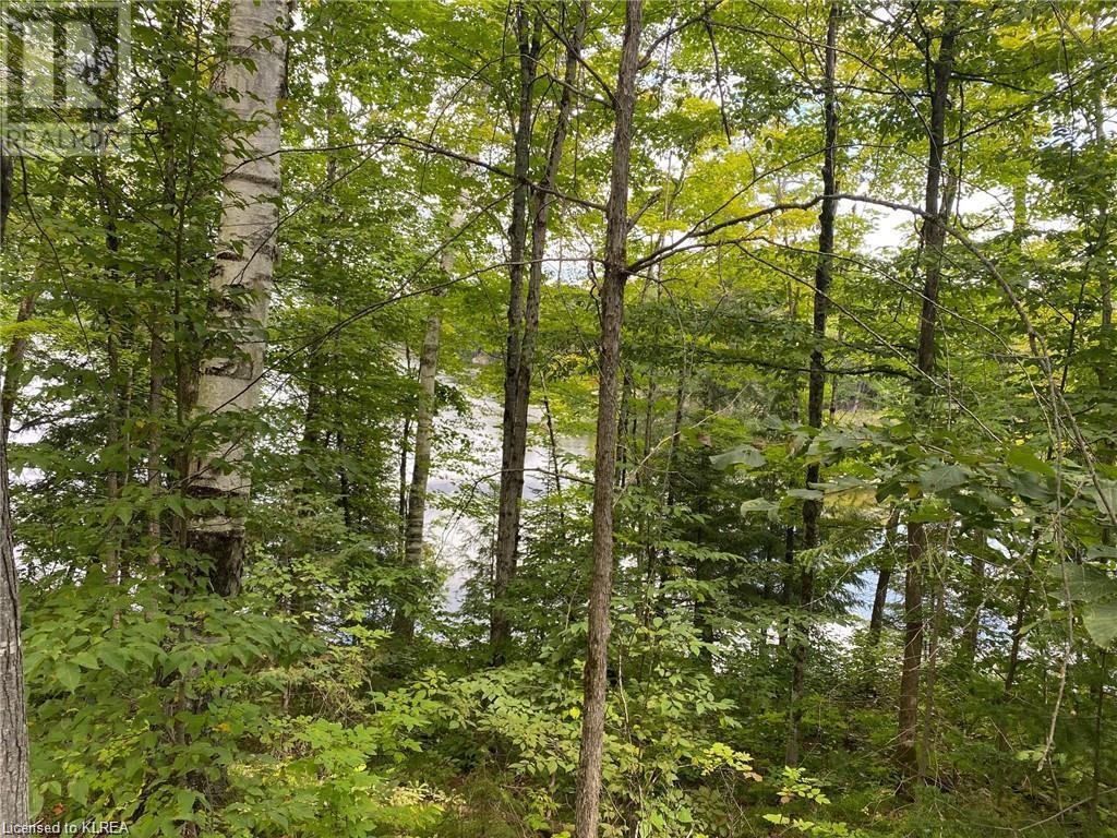 Listing 40390309 - Large Photo # 6