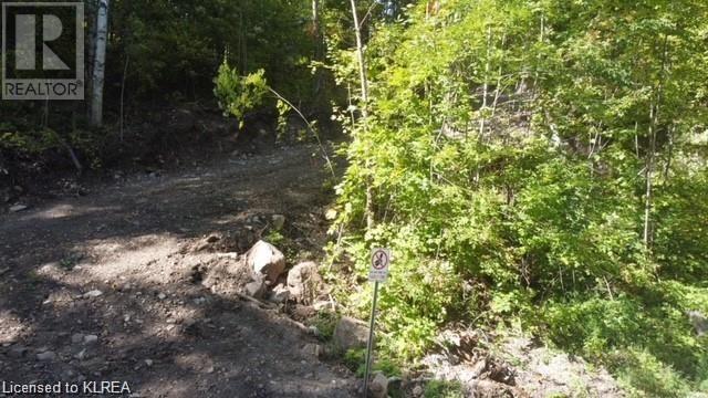 Listing 40390309 - Large Photo # 2