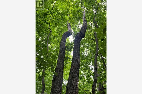 23 HARKINS Road, Miller Lake