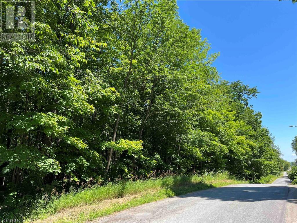 Listing 40391482 - Large Photo # 1