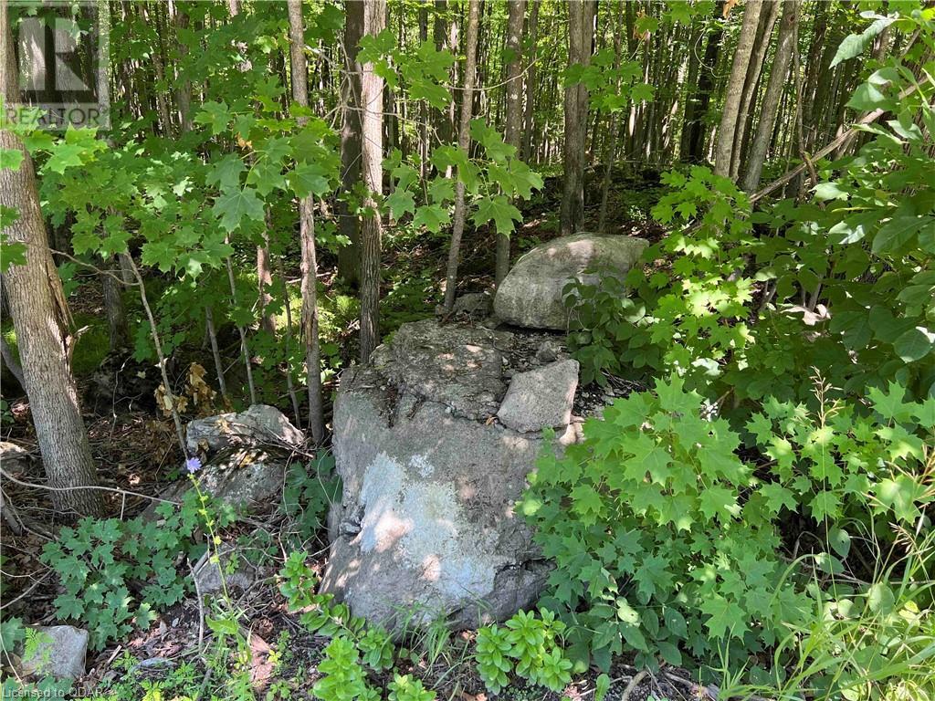 Listing 40391482 - Large Photo # 6