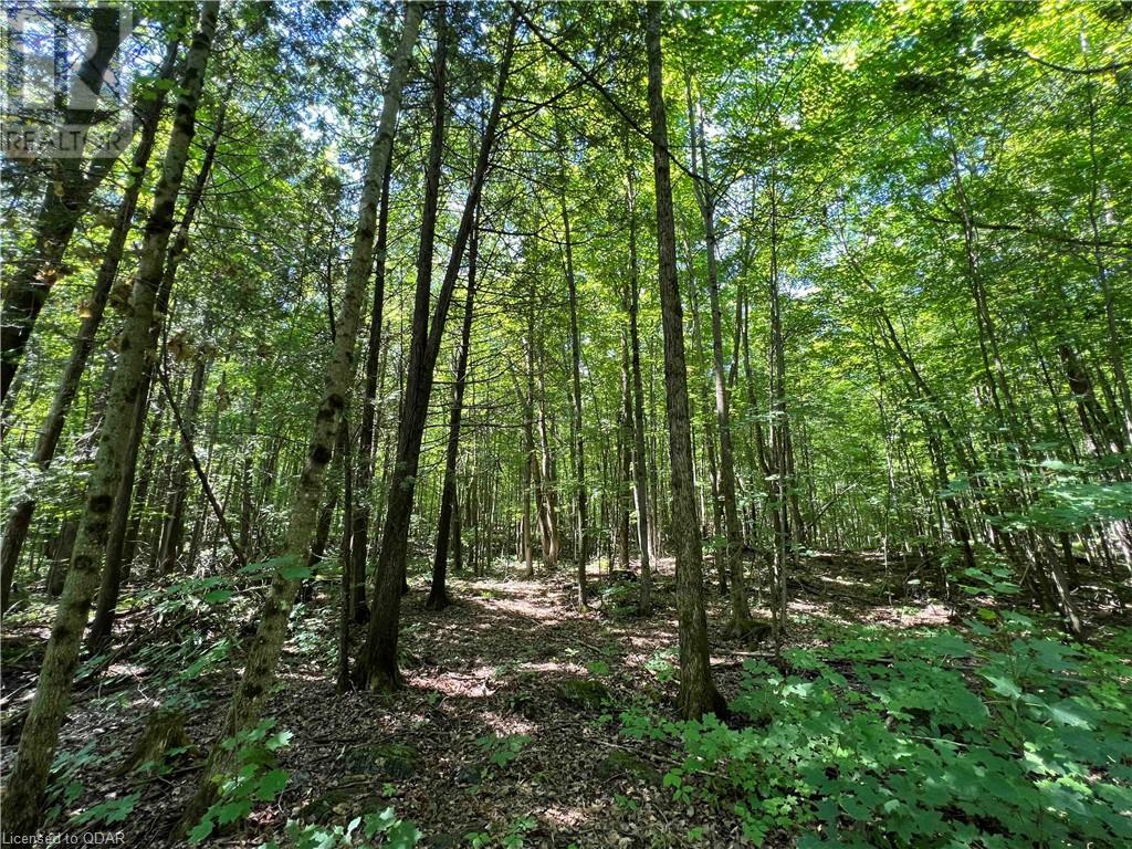 Listing 40391482 - Large Photo # 4