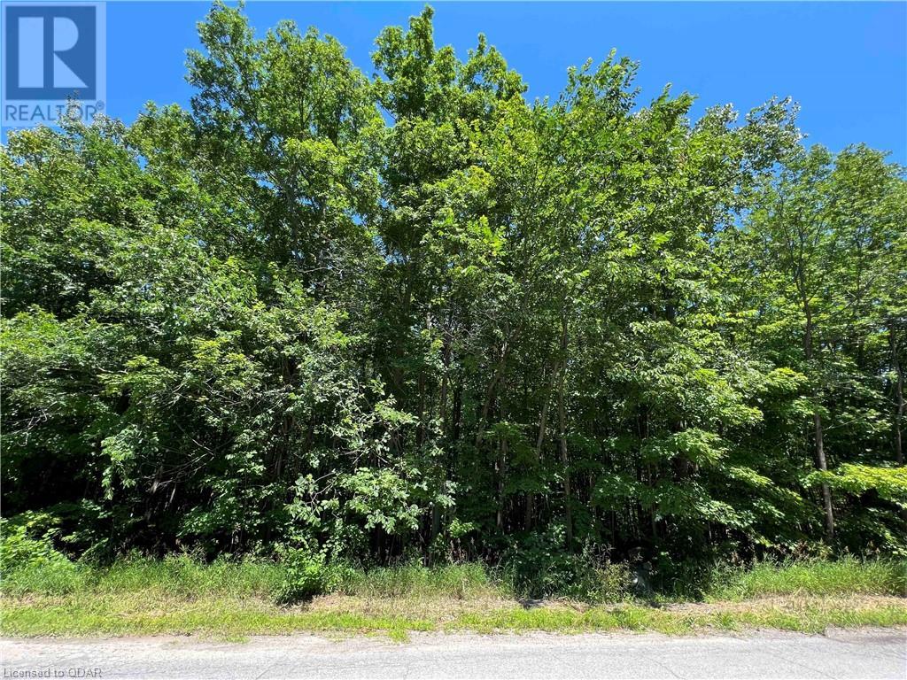 Listing 40391482 - Large Photo # 2