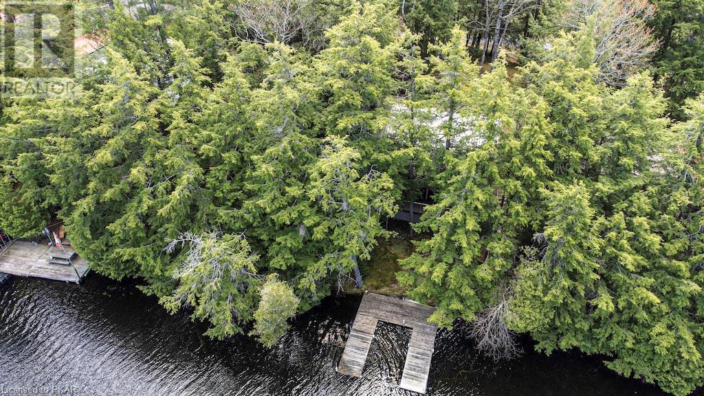 Listing 40391717 - Large Photo # 43