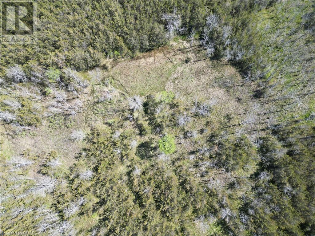 Listing 40391991 - Large Photo # 7