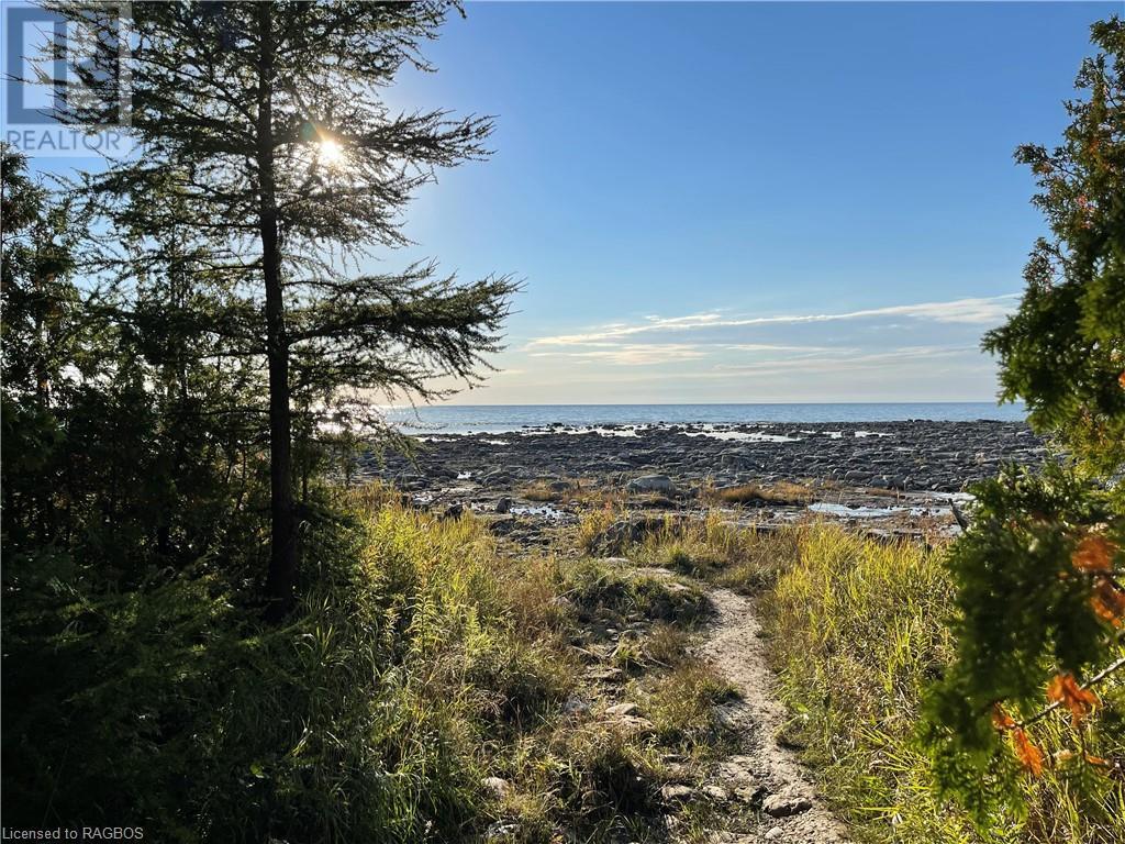 Listing 40392236 - Large Photo # 11