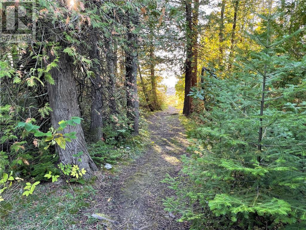 Listing 40392236 - Large Photo # 10