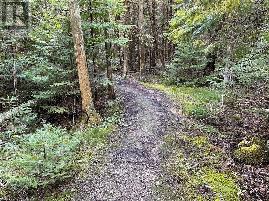 Listing 40392236 - Large Photo # 9