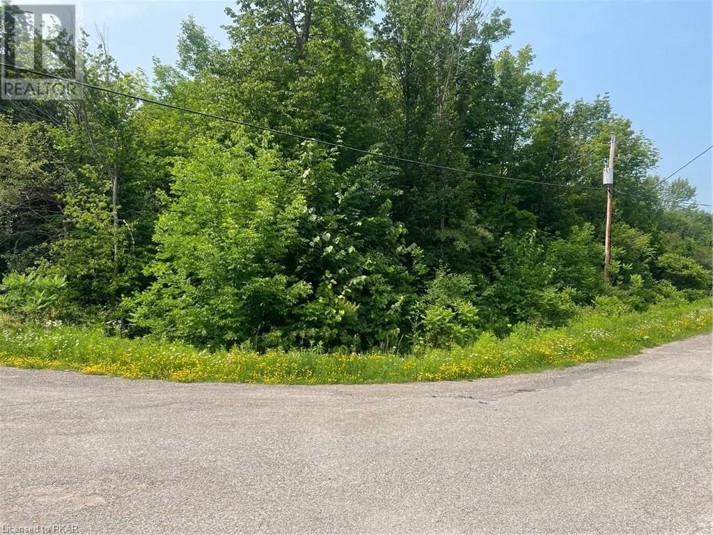 Listing 40392370 - Large Photo # 3