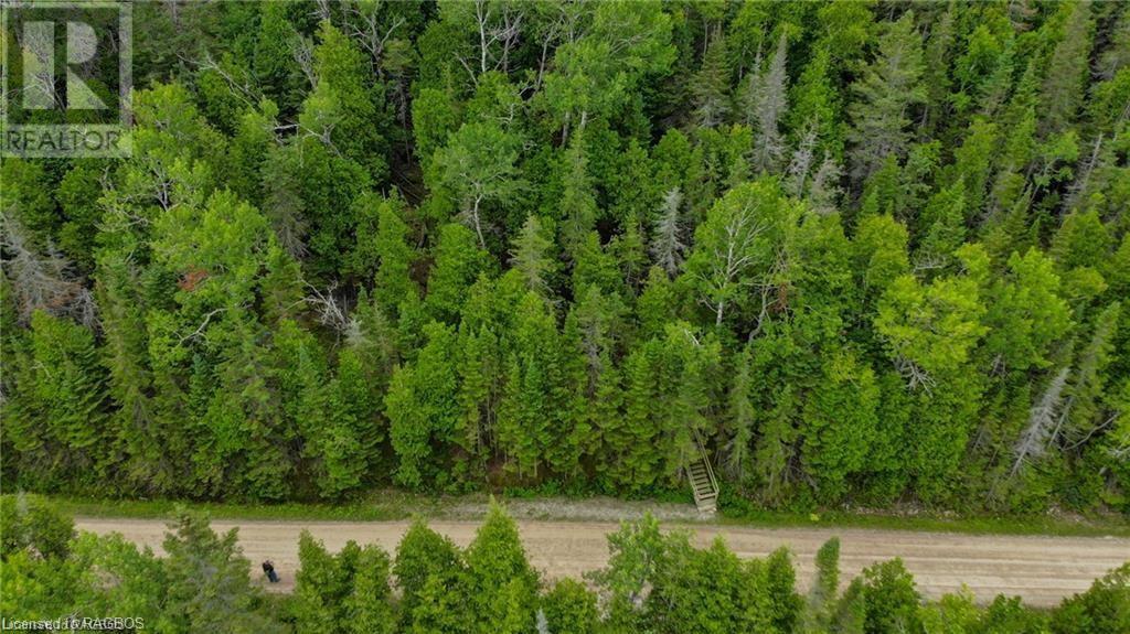 Listing 40392733 - Large Photo # 10