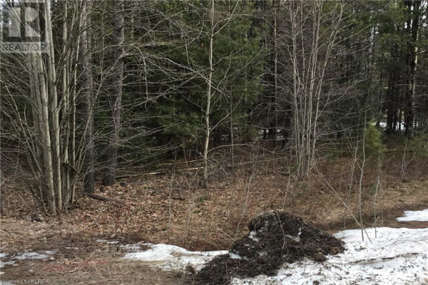 LOT 8 WATSON Drive, City Of Kawartha Lakes