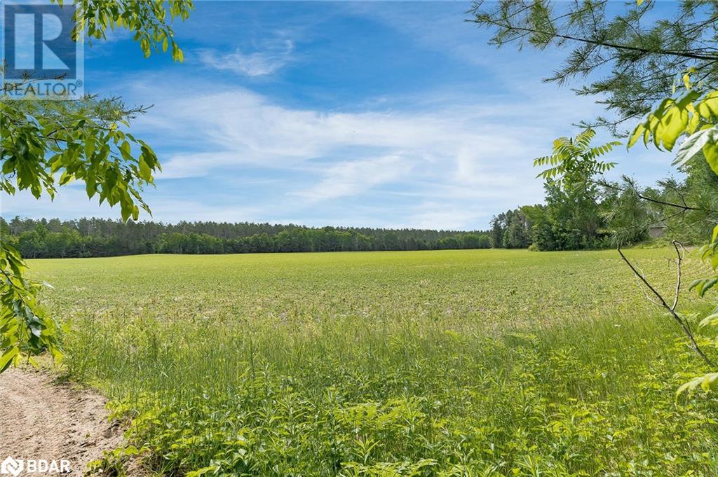 Listing 40394778 - Large Photo # 11