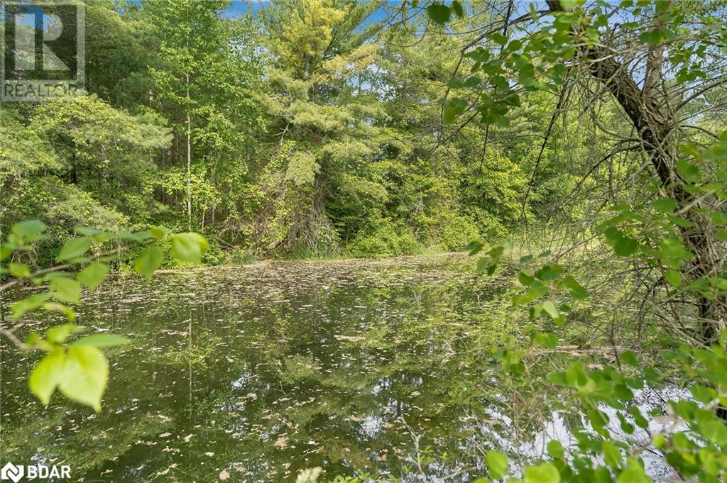 Listing 40394778 - Large Photo # 7
