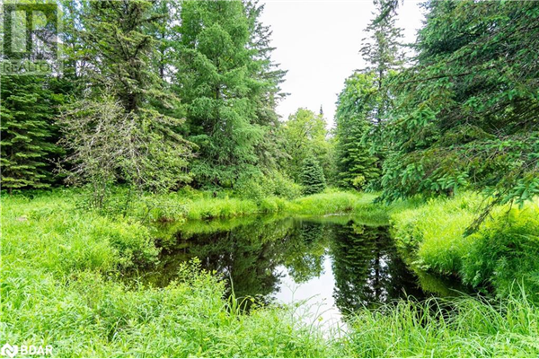 365 CLEARWATER LAKE Road, Port Sydney