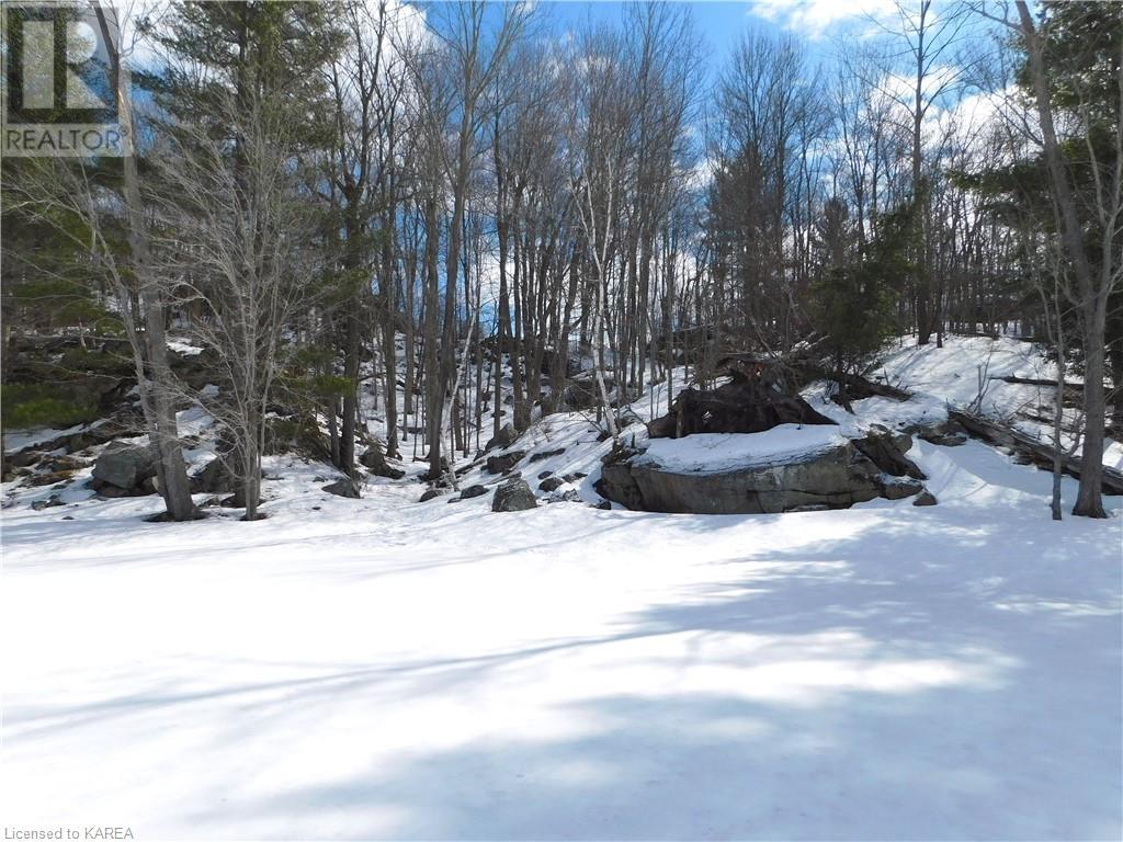Listing 40395432 - Large Photo # 33