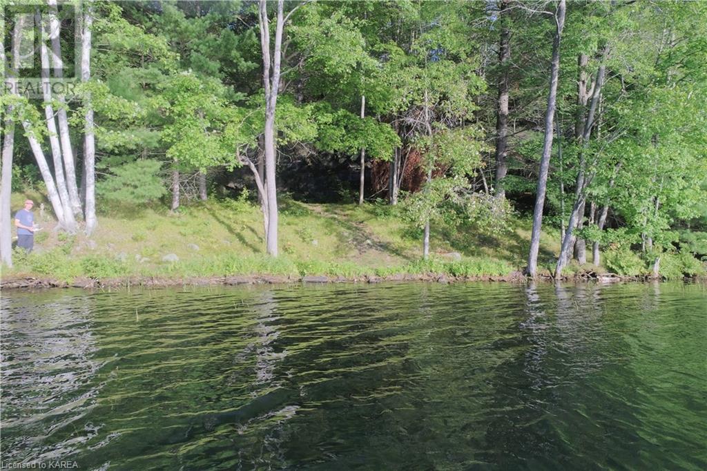 Listing 40395432 - Large Photo # 22