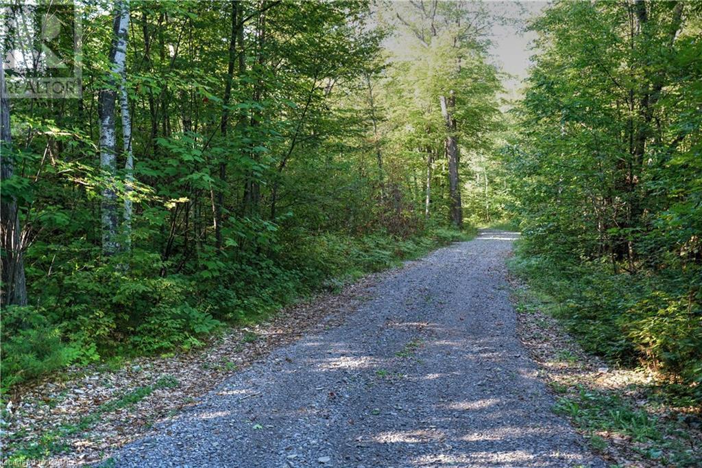 Listing 40395432 - Large Photo # 28