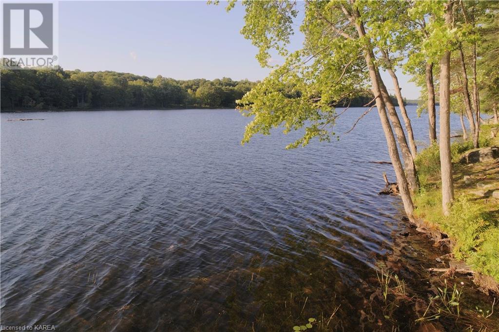 Listing 40395432 - Large Photo # 5