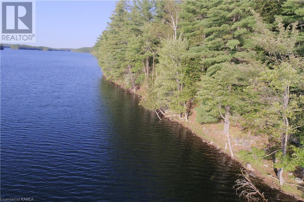 Listing 40395432 - Large Photo # 13