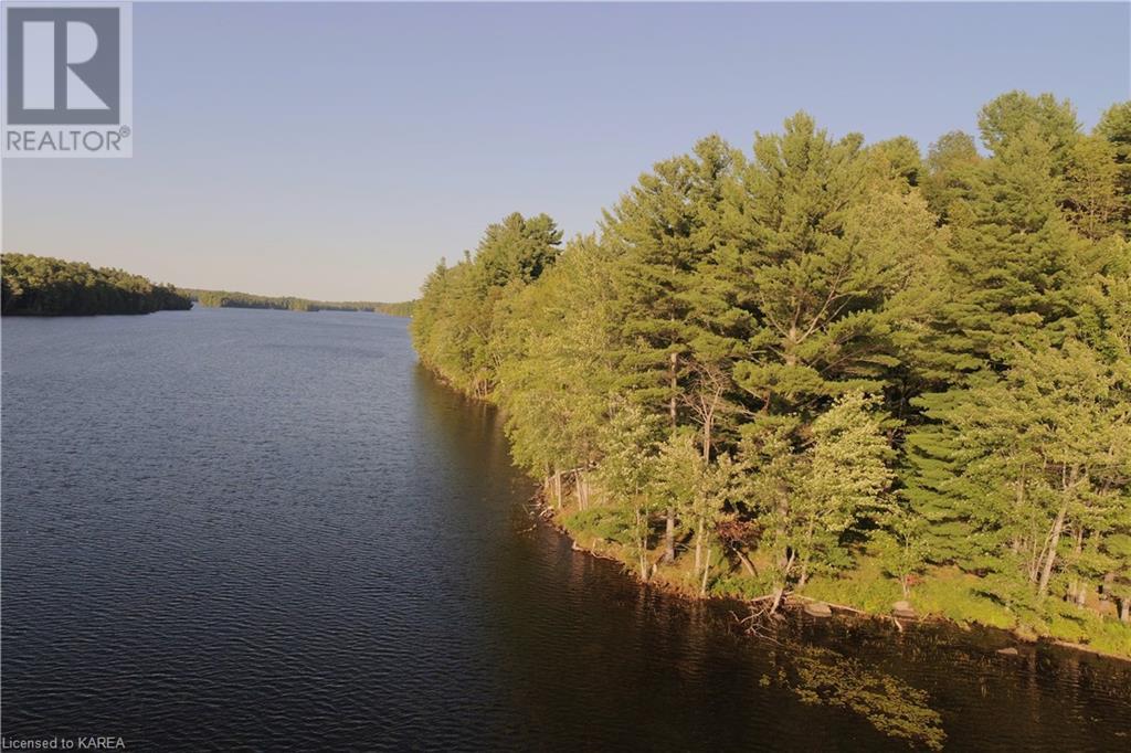 Listing 40395432 - Large Photo # 18