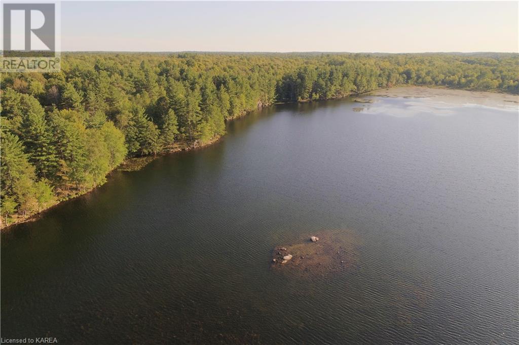 Listing 40395435 - Large Photo # 13