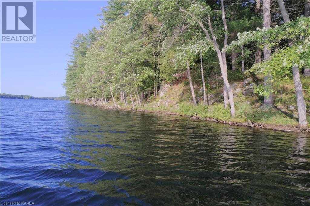 Listing 40395435 - Large Photo # 19