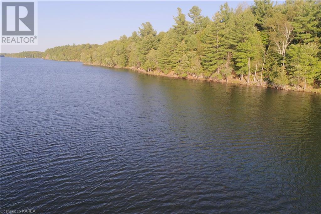 Listing 40395435 - Large Photo # 11