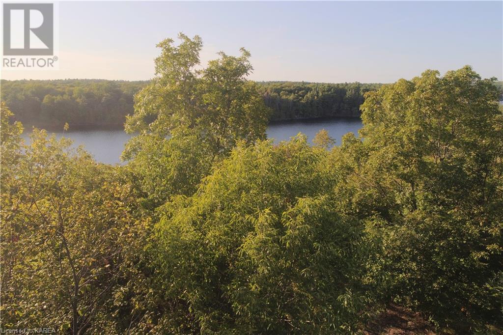 Listing 40395438 - Large Photo # 11