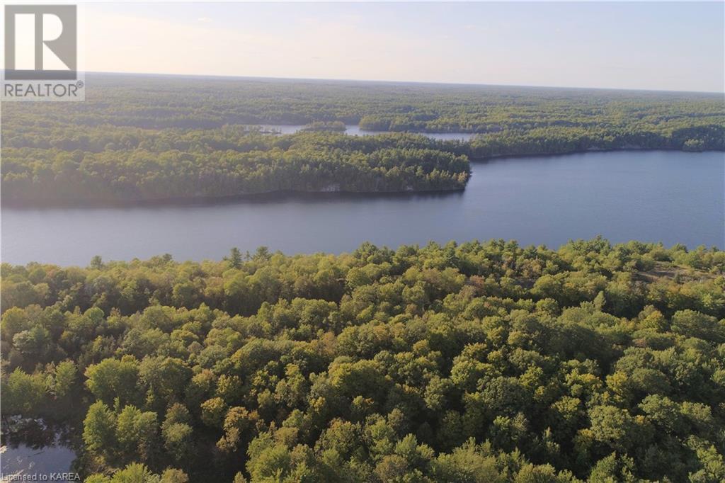 Listing 40395438 - Large Photo # 15