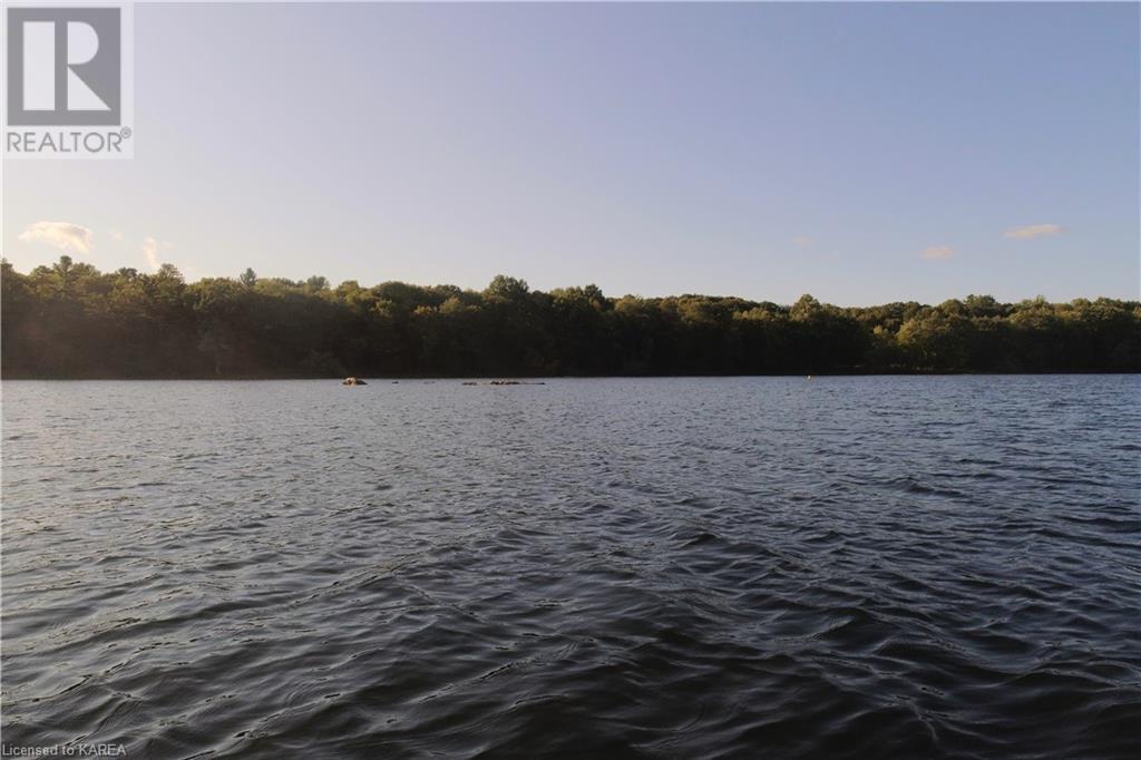 Listing 40395438 - Large Photo # 8
