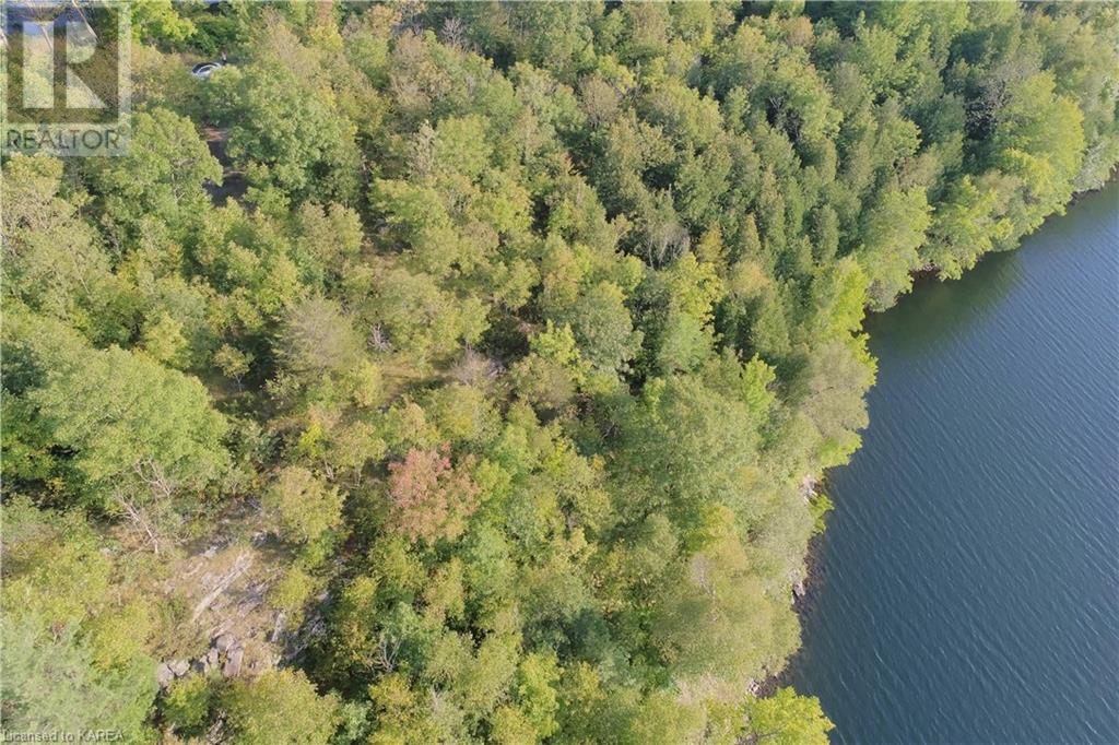 Listing 40395438 - Large Photo # 12
